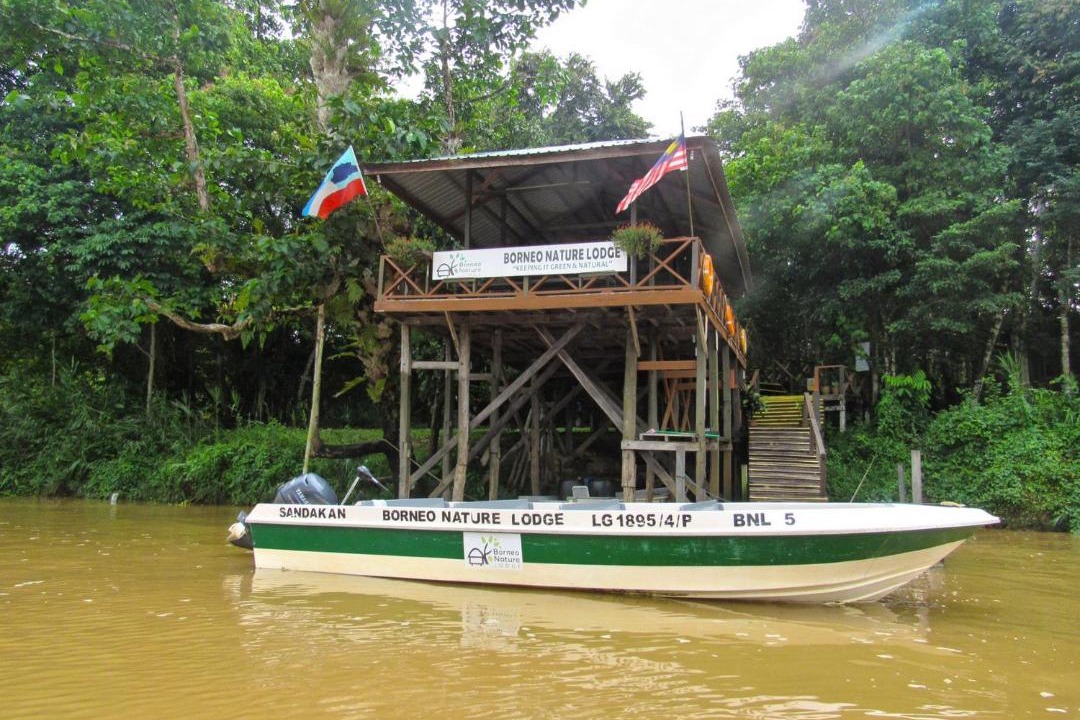 Photo of Others in Sukau