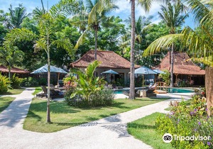 Coconut Garden Resort