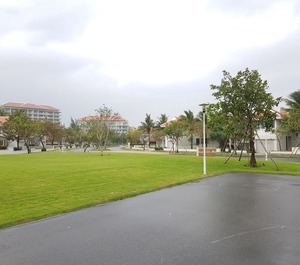 The Ocean Resort 