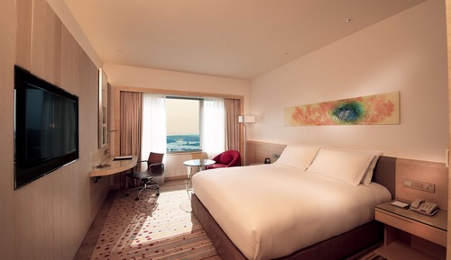 Executive Suite, 1 King Bed