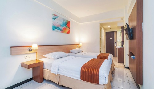 Superior Double or Twin Room