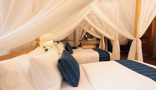 Tent, 1 Twin Bed, Canal View