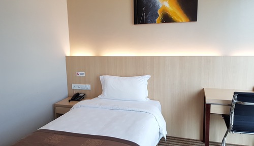 Superior Single Room, Non Smoking