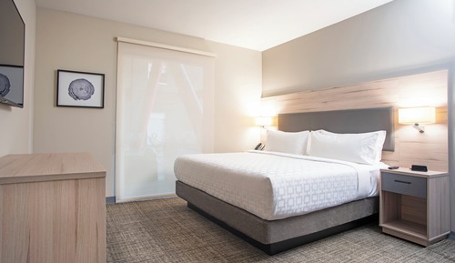 Suite, 1 Bedroom