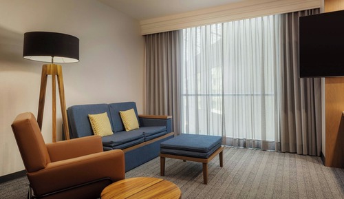 Suite, 1 King Bed with Sofa bed