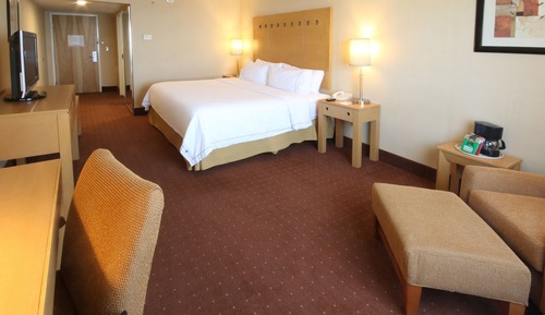 Standard Room, 1 King Bed, Accessible