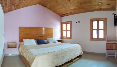 Room, 1 King Bed