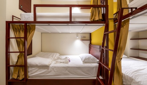 Bed in 10 Bed Mixed Dormitory Room