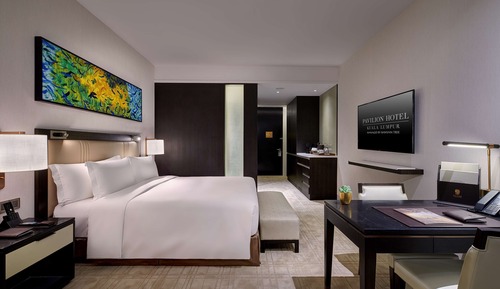 Room, 1 King Bed (City Oasis)