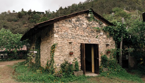 Family Cabin, Garden View