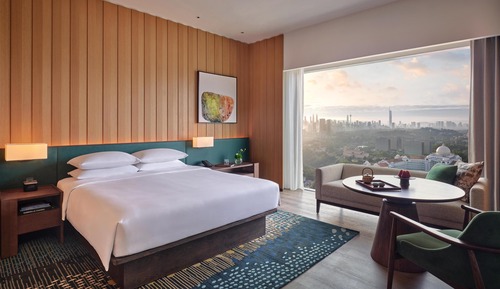 Room, 1 King Bed