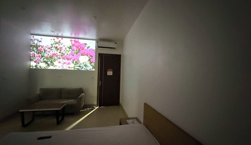 Basic Apartment