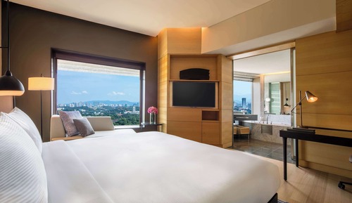 Deluxe Room, 1 King Bed, Refrigerator, Lake View (Plus)