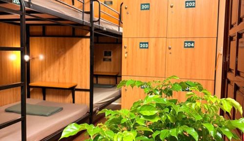 8-Bed Mixed Dormitory Room