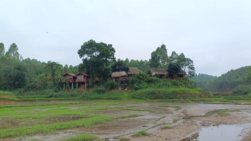 Mixed Dormitory Room