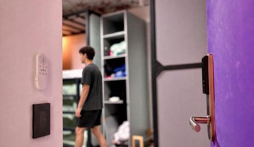 Bunk Bed in Mixed Dormitory Room