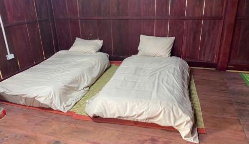 Single Bed in Mixed Dormitory Room