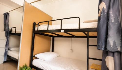 Bunk Bed in Mixed Dormitory Room