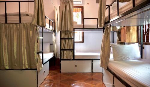 Bed in 6-Bed Dormitory Room