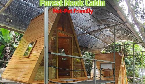 Large Double or Twin Room