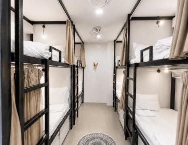 Bed in 8-Bed Mixed Dormitory Room