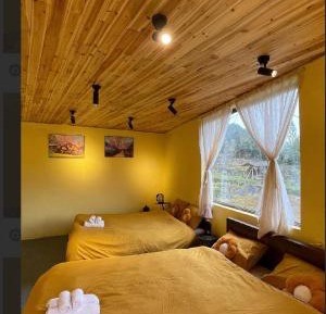 Double Room with Mountain View