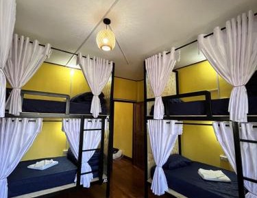 Mixed Dormitory Room