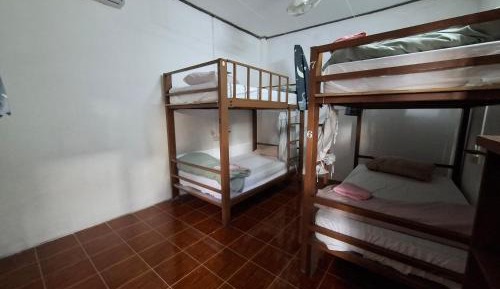 Bed in 6-Bed Mixed Dormitory Room