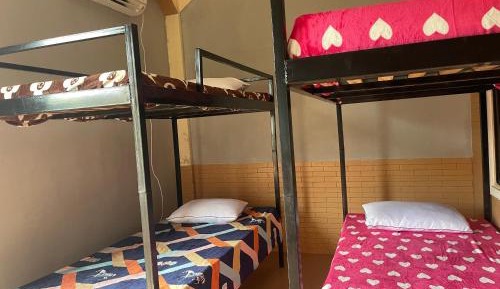 Bunk Bed in Mixed Dormitory Room