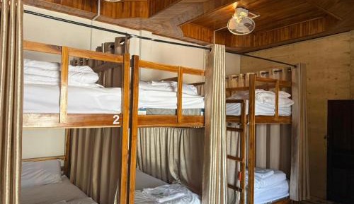 Bunk Bed in Mixed Dormitory Room