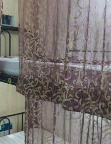 Bunk Bed in Mixed Dormitory Room
