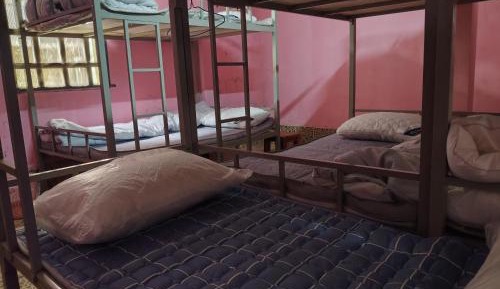 Bed in 8-Bed Mixed Dormitory Room