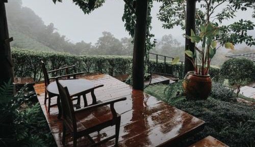 Queen Room with Garden View