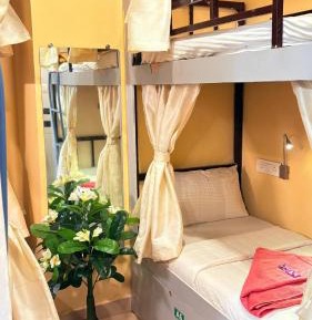 Bunk Bed in Mixed Dormitory Room