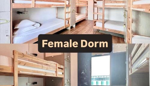 Bunk Bed in Female Dormitory Room  