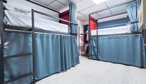 Bunk Bed in Mixed Dormitory Room