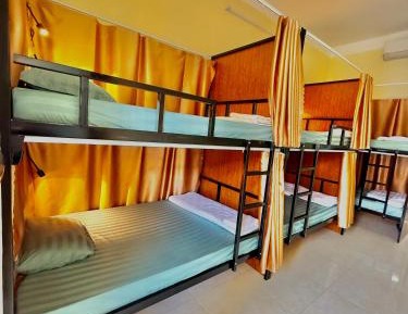 Bed in 6-Bed Dormitory Room