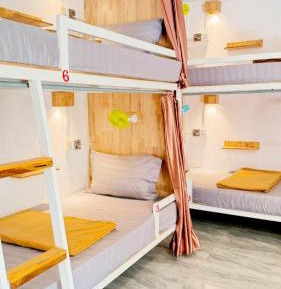 Single Bed in Mixed Dormitory Room