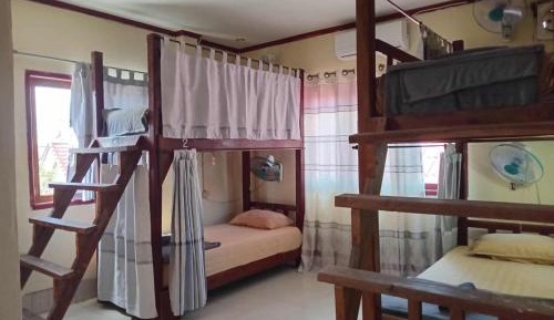Bunk Bed in Mixed Dormitory Room