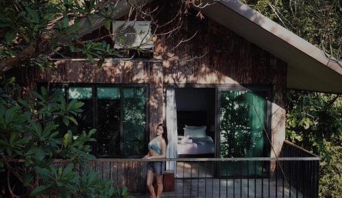 Premium Tree House