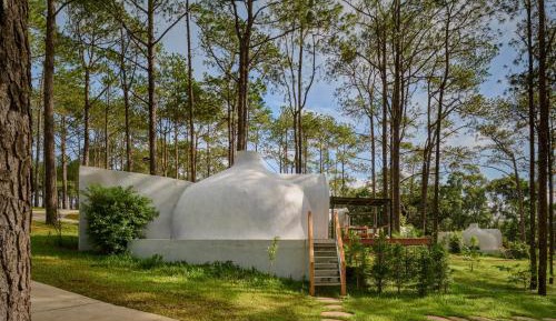 Deluxe Double Room Garden View 