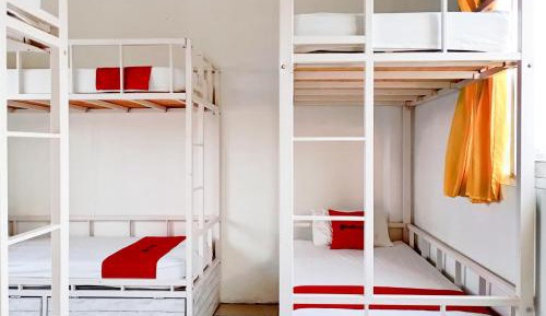 6-Bed Mixed Dormitory Room