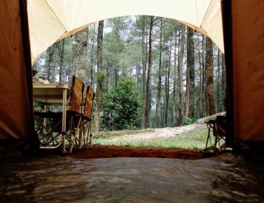 Tent