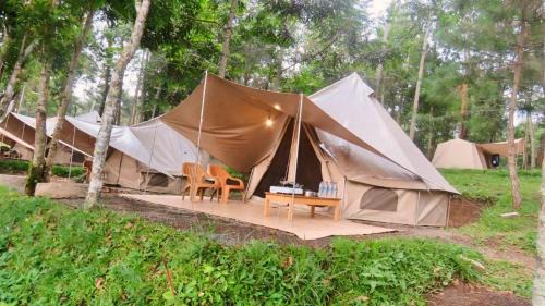 Tent