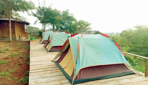 Tent