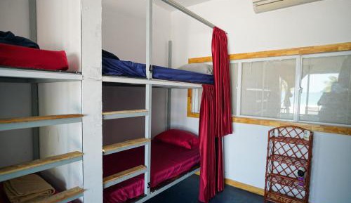 Bed in 8-Bed Mixed Dormitory Room