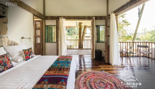 Ficus Treetop Villa 