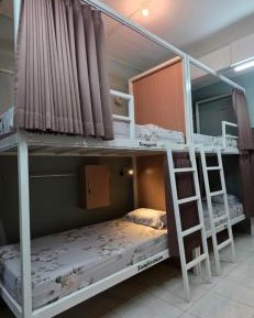 Bed in 8-Bed Mixed Dormitory Room