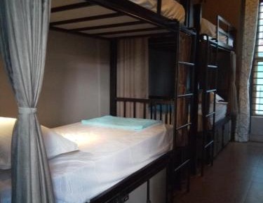 Bunk Bed in Mixed Dormitory Room