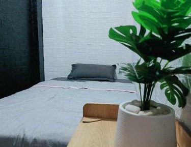 Small Single Room